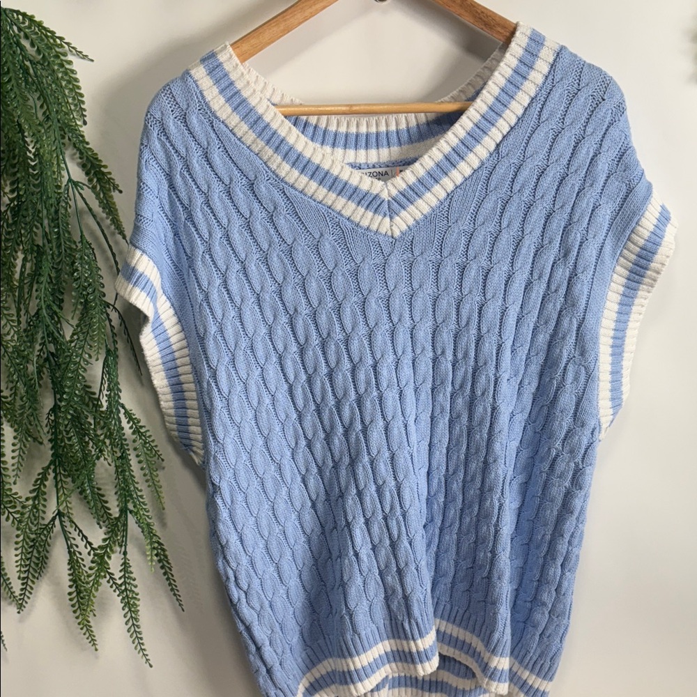 Arizona Jean Company Light Blue V-Neck Sweater